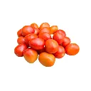 Tomatoes.webp