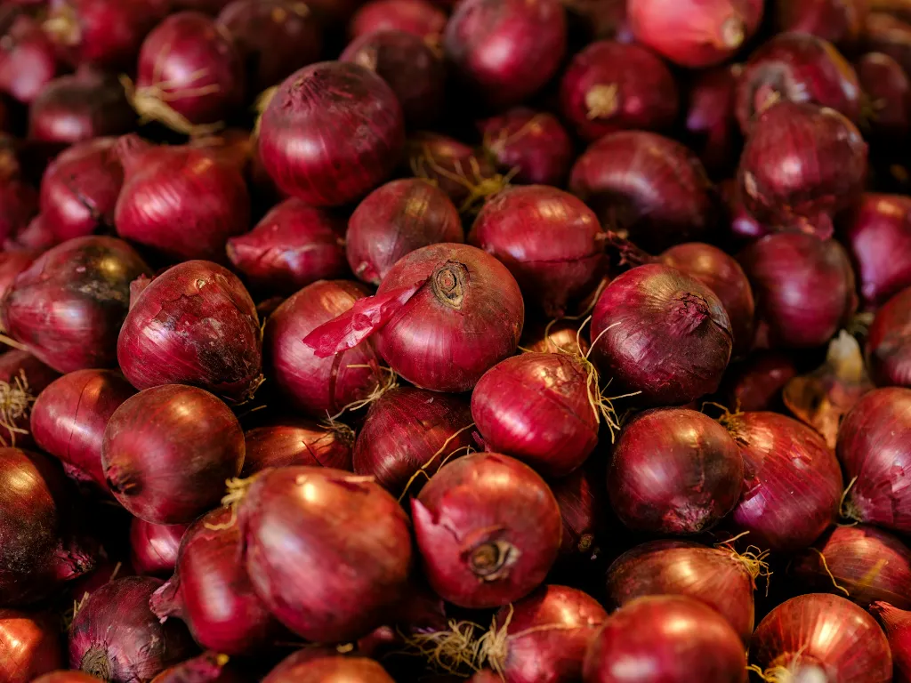 unsplash_Mpnv7-1mNzg_onion.jpg.jpg.jpg.webp