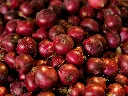 unsplash_Mpnv7-1mNzg_onion.jpg.jpg.jpg.webp