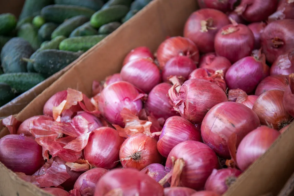 unsplash_SSIwIRCu7bM_onion.jpg.webp