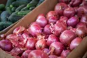 unsplash_SSIwIRCu7bM_onion.jpg.webp