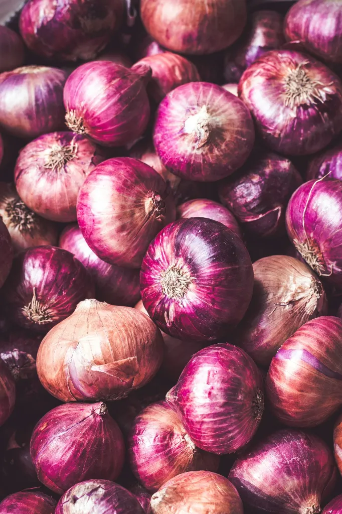 unsplash_D9h2-RxM1rE_onion.webp