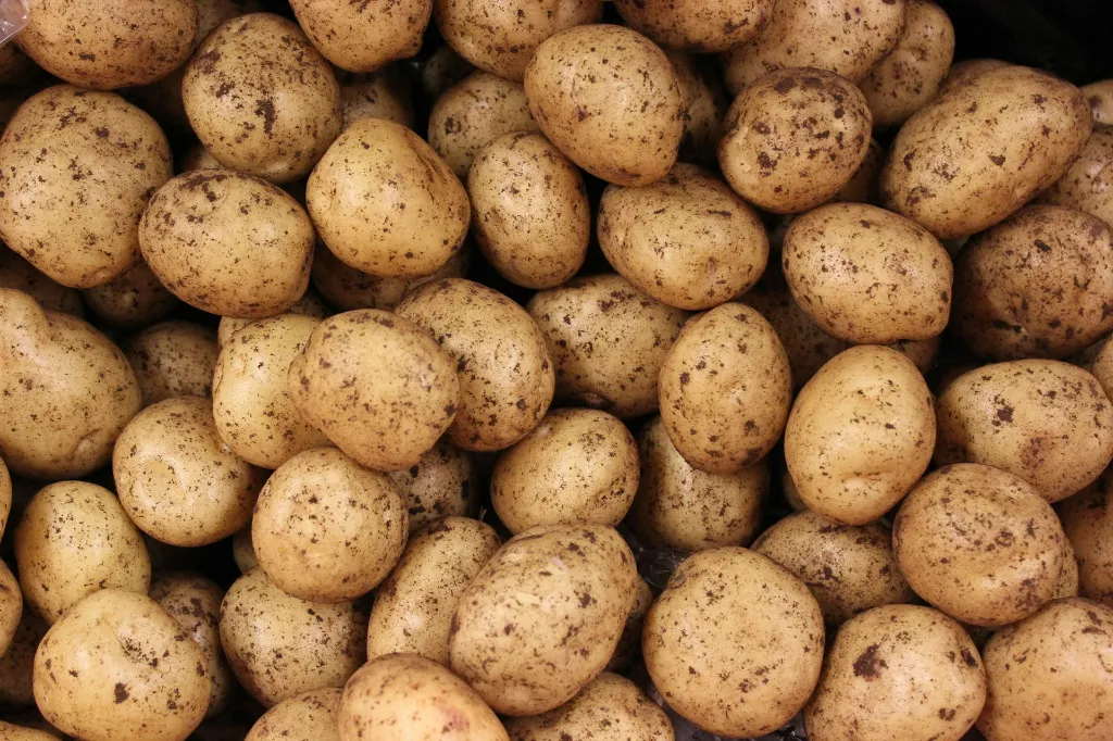 unsplash_-s63jMA3w7A_potatoes.webp